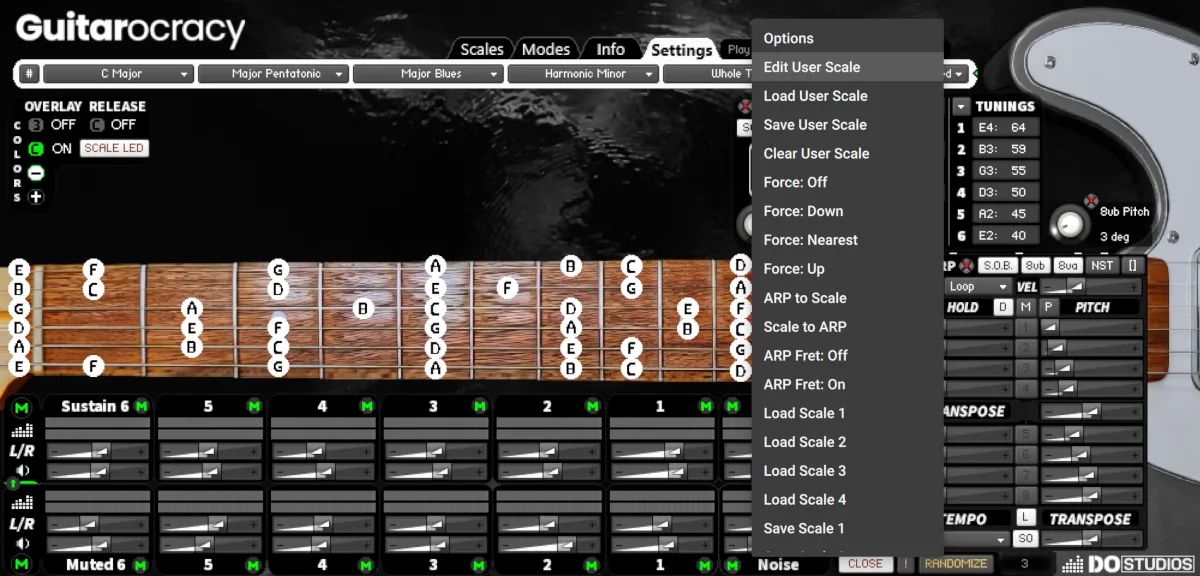Performance Workflow Edit User Scale in Guitarocracy.