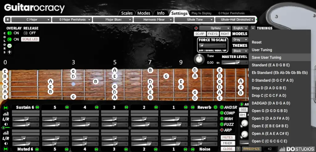 Guitarocracy now supports user custom tunings.